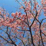 ヒメ日記 2026/03/29 16:46 投稿 小柳りな MADAM