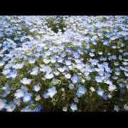 小柳りな 次回 MADAM