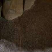 ヒメ日記 2026/04/16 19:46 投稿 山口りり MADAM