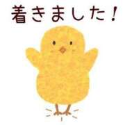 ヒメ日記 2026/01/18 14:31 投稿 宮沢ありさ MADAM