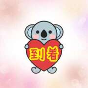 ヒメ日記 2026/01/22 13:31 投稿 宮沢ありさ MADAM