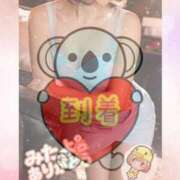 ヒメ日記 2026/01/28 16:16 投稿 宮沢ありさ MADAM