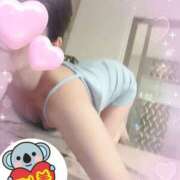 ヒメ日記 2026/02/19 12:16 投稿 宮沢ありさ MADAM