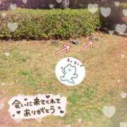 ヒメ日記 2026/03/04 13:01 投稿 宮沢ありさ MADAM