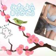 ヒメ日記 2026/04/01 13:31 投稿 宮沢ありさ MADAM