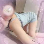 ヒメ日記 2026/04/04 12:31 投稿 宮沢ありさ MADAM