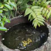 ヒメ日記 2026/07/12 16:31 投稿 宮沢ありさ MADAM