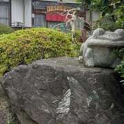ヒメ日記 2026/07/13 14:46 投稿 宮沢ありさ MADAM