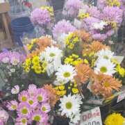 ヒメ日記 2026/10/01 15:16 投稿 宮沢ありさ MADAM
