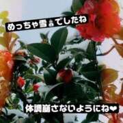 中条りこ さむ?? MADAM