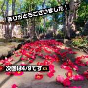 ヒメ日記 2026/04/07 20:46 投稿 中条りこ MADAM