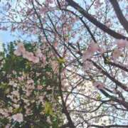 ヒメ日記 2026/02/17 01:16 投稿 堤かおる MADAM