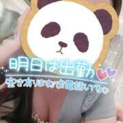 ヒメ日記 2026/01/15 15:31 投稿 森田りえ MADAM