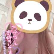 ヒメ日記 2026/02/14 06:46 投稿 森田りえ MADAM