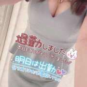 ヒメ日記 2026/02/14 12:46 投稿 森田りえ MADAM