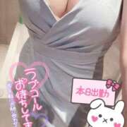 ヒメ日記 2026/03/02 06:46 投稿 森田りえ MADAM