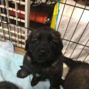 ヒメ日記 2026/01/13 14:16 投稿 瀬川しずえ MADAM