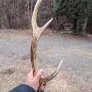 ヒメ日記 2026/01/28 16:16 投稿 瀬川しずえ MADAM