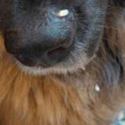 ヒメ日記 2026/01/28 17:46 投稿 瀬川しずえ MADAM