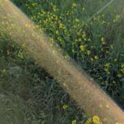 ヒメ日記 2026/04/02 18:01 投稿 瀬川しずえ MADAM