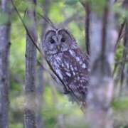 ヒメ日記 2026/09/01 22:31 投稿 瀬川しずえ MADAM