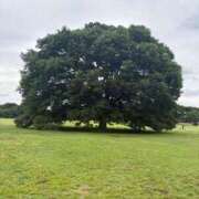 ヒメ日記 2026/01/12 12:46 投稿 藤崎るあ MADAM