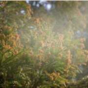 ヒメ日記 2026/01/15 07:31 投稿 杉下あんな MADAM