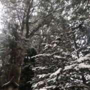 ヒメ日記 2026/02/08 23:16 投稿 杉下あんな MADAM