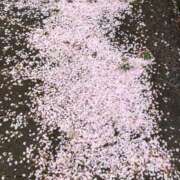 杉下あんな サクラよありがとう MADAM