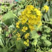 杉下あんな 季節の変わり目は気をつけないと MADAM