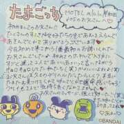 ヒメ日記 2026/07/21 06:02 投稿 あむ りんくう泉佐野ちゃんこ