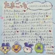 ヒメ日記 2026/07/28 05:42 投稿 あむ りんくう泉佐野ちゃんこ