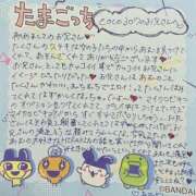 ヒメ日記 2026/07/28 05:45 投稿 あむ りんくう泉佐野ちゃんこ