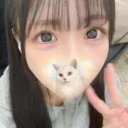 ヒメ日記 2025/12/27 18:17 投稿 りこ★S級×可憐な大企業受付嬢 Bell～S級美女お姉様・人妻デリヘル～