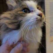 ヒメ日記 2026/01/03 11:20 投稿 りこ★S級×可憐な大企業受付嬢 Bell～S級美女お姉様・人妻デリヘル～