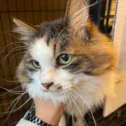 ヒメ日記 2026/01/04 09:37 投稿 りこ★S級×可憐な大企業受付嬢 Bell～S級美女お姉様・人妻デリヘル～