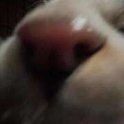 ヒメ日記 2026/01/04 12:12 投稿 りこ★S級×可憐な大企業受付嬢 Bell～S級美女お姉様・人妻デリヘル～