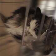 ヒメ日記 2026/01/18 18:44 投稿 りこ★S級×可憐な大企業受付嬢 Bell～S級美女お姉様・人妻デリヘル～