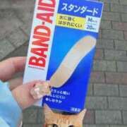 ヒメ日記 2026/01/28 08:16 投稿 りこ★S級×可憐な大企業受付嬢 Bell～S級美女お姉様・人妻デリヘル～