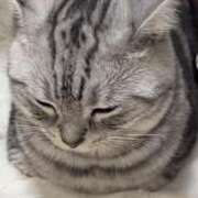 ヒメ日記 2026/01/31 21:51 投稿 りこ★S級×可憐な大企業受付嬢 Bell～S級美女お姉様・人妻デリヘル～