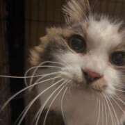 ヒメ日記 2026/02/03 08:03 投稿 りこ★S級×可憐な大企業受付嬢 Bell～S級美女お姉様・人妻デリヘル～