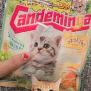 ヒメ日記 2026/02/15 14:29 投稿 りこ★S級×可憐な大企業受付嬢 Bell～S級美女お姉様・人妻デリヘル～