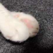 ヒメ日記 2026/01/09 22:16 投稿 ゆうか ZERO-i