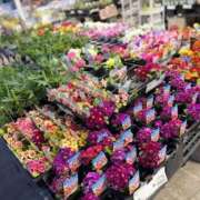 ヒメ日記 2026/02/18 19:16 投稿 ゆうか ZERO-i