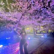 きせき 🫧あと少し🫧 アラモード