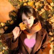 ヒメ日記 2025/12/22 15:05 投稿 ローズ INFINITY GOLD～インフィニティゴールド～