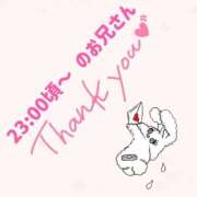 ヒメ日記 2026/03/03 11:16 投稿 るな ぽっちゃり巨乳素人専門店ぷにめろ蒲田店