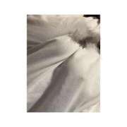 ヒメ日記 2026/03/16 07:46 投稿 るな ぽっちゃり巨乳素人専門店ぷにめろ蒲田店