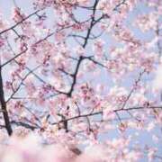ヒメ日記 2026/04/20 17:31 投稿 ちえみ「熟女」 奥様アテンド小山店