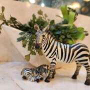 ヒメ日記 2026/01/06 07:37 投稿 みぞれ ダンシングおっぱいTEAM爆